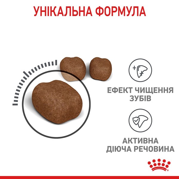 Oral Care (1.5kg)
