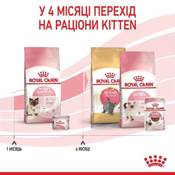Mother &amp; Babycat (400g)
