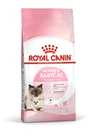 Mother &amp; Babycat (4kg)