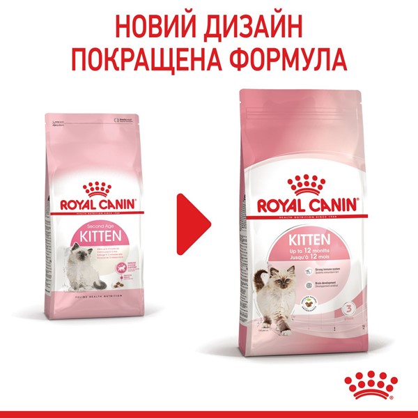 Kitten (400g)
