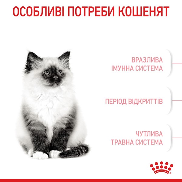 Kitten (400g)