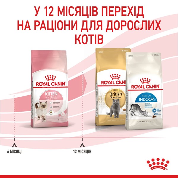 Kitten (400g)
