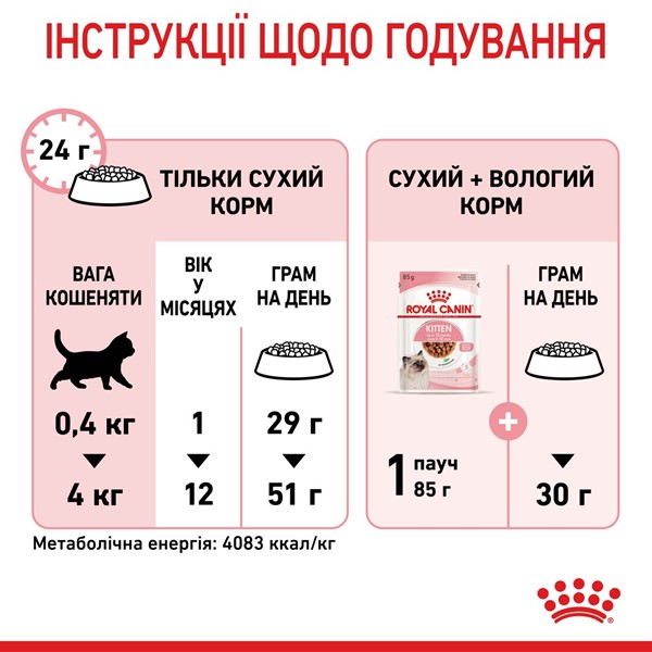 Kitten (2kg)