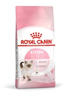 Kitten (4kg)