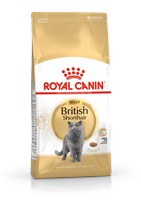 British Shorthair Adult (400g)
