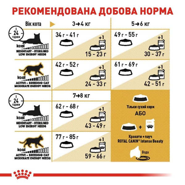 British Shorthair Adult (4kg)