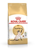 Siamese Adult (400g)