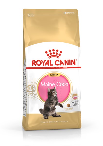 Maine Coon Kitten (400g)