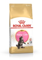 Maine Coon Kitten (2kg)