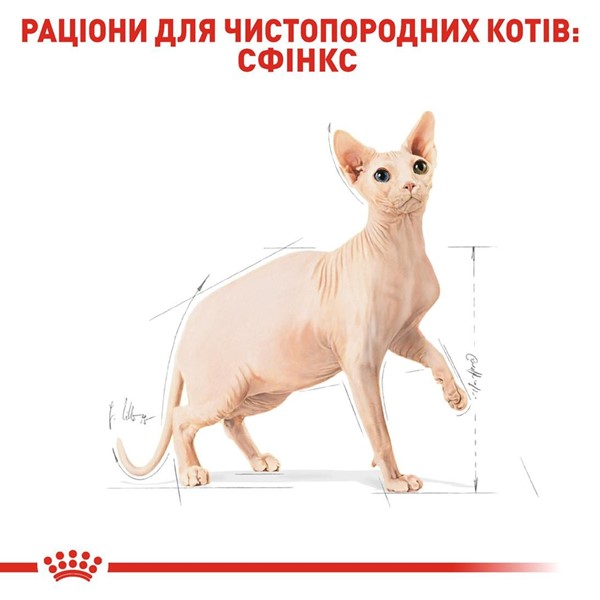 Sphynx Adult (10kg)