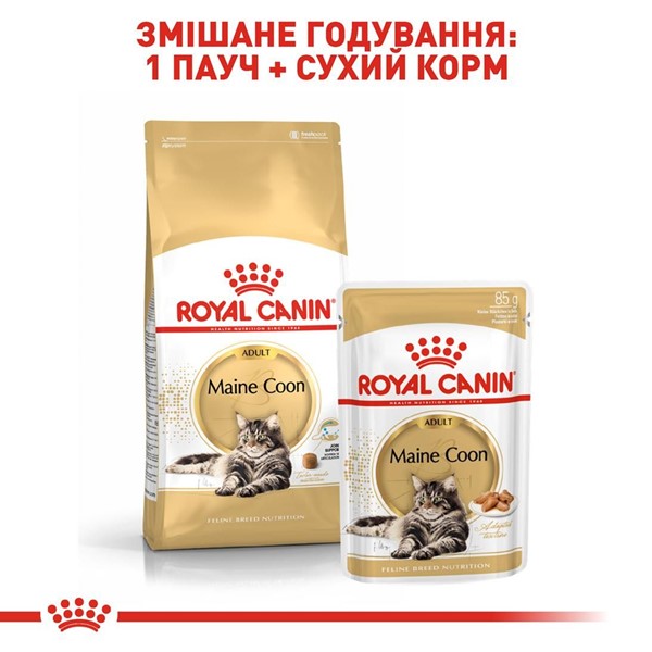 Maine Coon Adult (2kg)