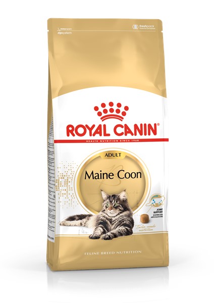 Maine Coon Adult (4kg)