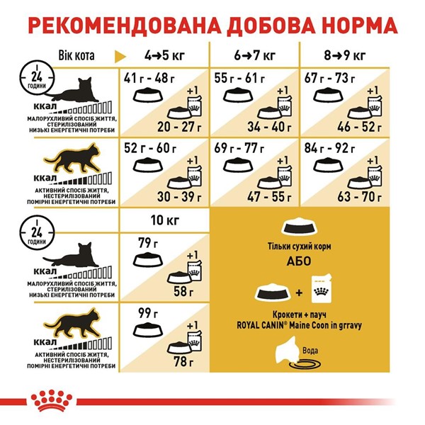 Maine Coon Adult (4kg)