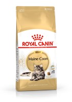 Maine Coon Adult (10kg)
