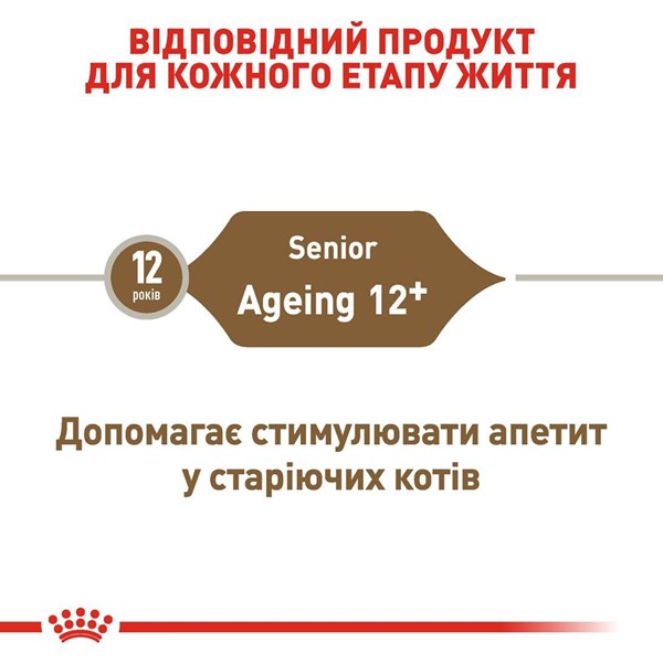 Ageing 12+ (2kg)