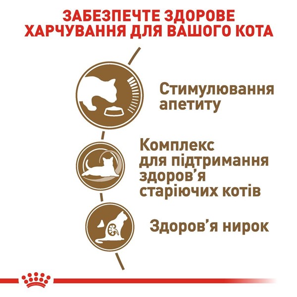 Ageing 12+ (2kg)