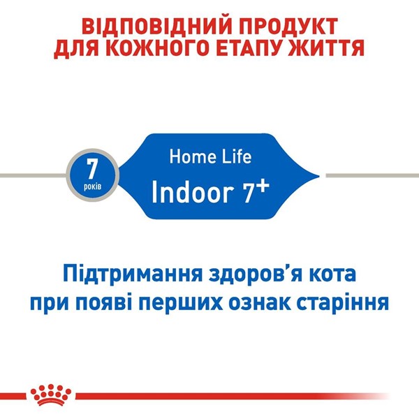 Indoor 7+ (3.5kg)