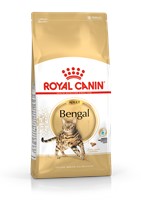 Bengal Adult (2kg)