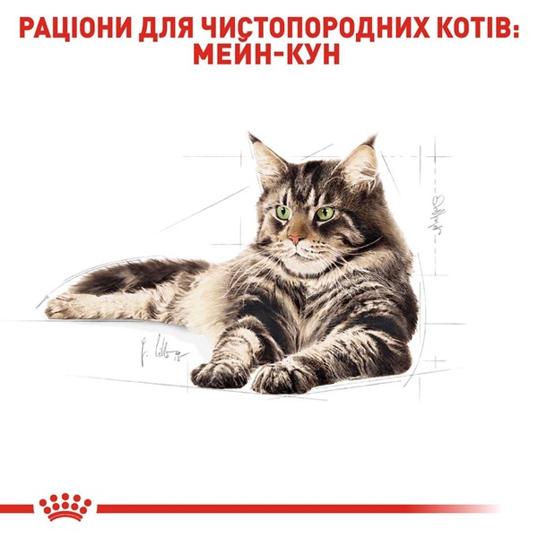 Maine coon (12 x 85g)