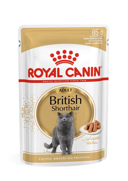 British Shothair (1 x 85g)