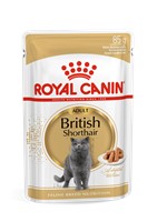 British Shothair (1 x 85g)