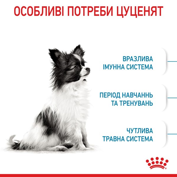 X-small Puppy (3kg)