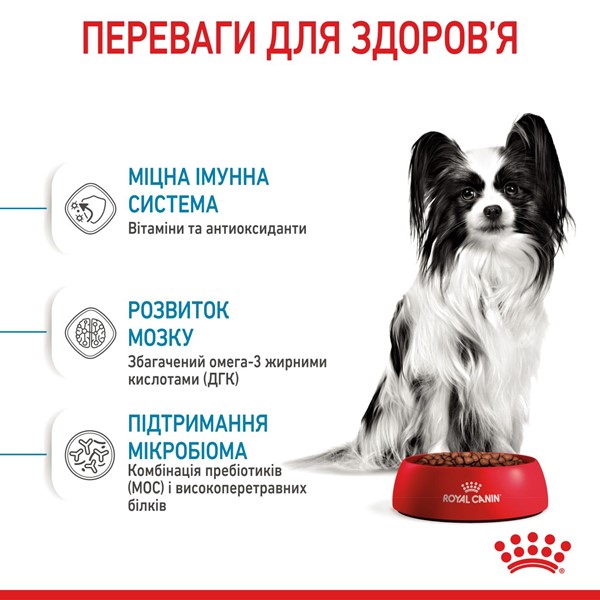 X-small Puppy (3kg)