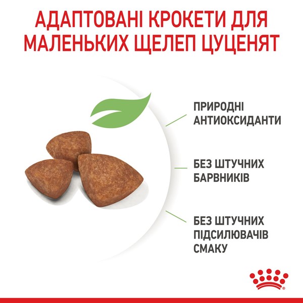X-small Puppy (3kg)