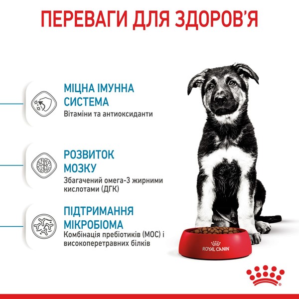Maxi Puppy (4kg)