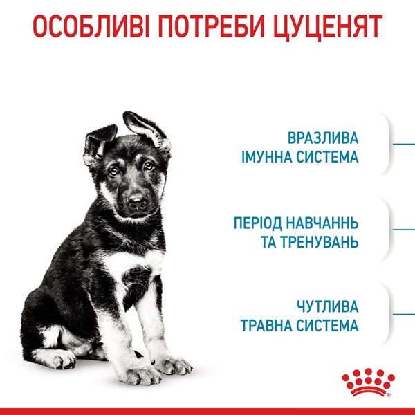 Maxi Puppy (4kg)