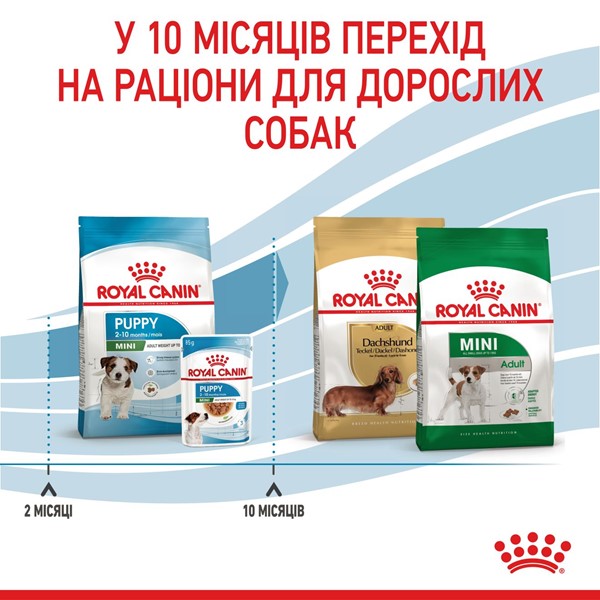 Mini Puppy (2kg)