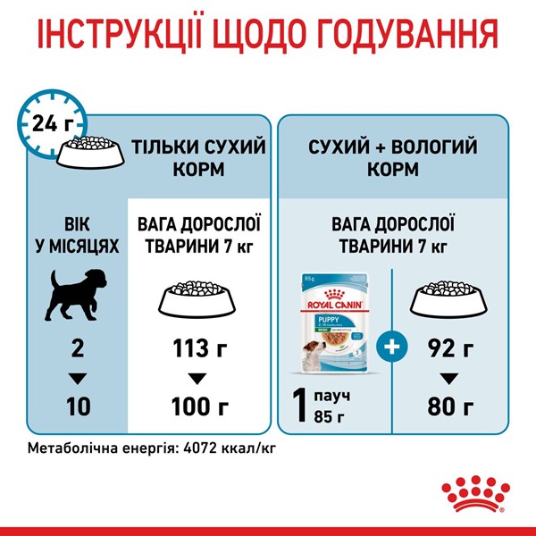 Mini Puppy (4kg)