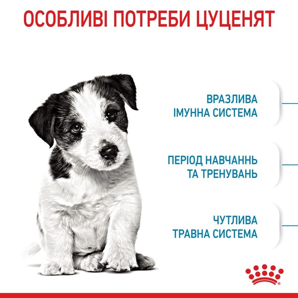 Mini Puppy (8kg)
