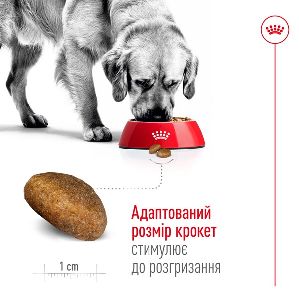 Maxi Adult (4kg)