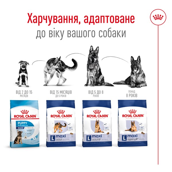 Maxi Adult (4kg)