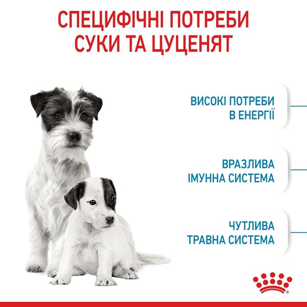 Starter Mother &amp; Babydog - Mini (1kg)