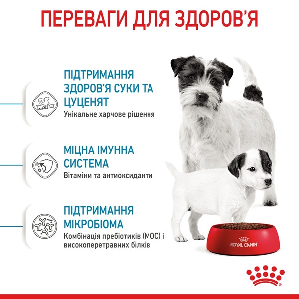 Starter Mother &amp; Babydog - Mini (1kg)
