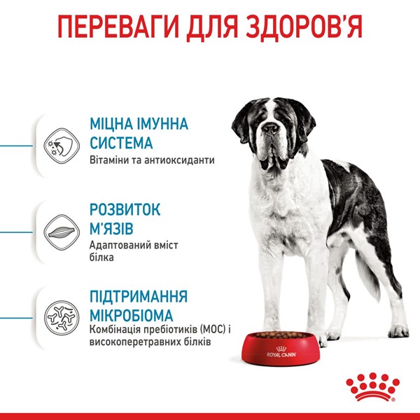 Giant Junior (15kg)