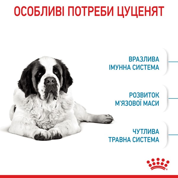 Giant Junior (15kg)