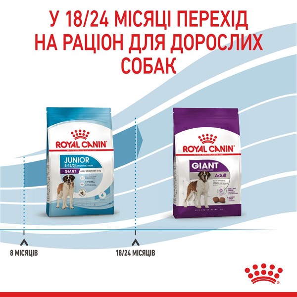 Giant Junior (15kg)