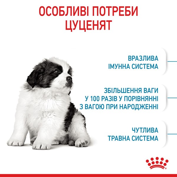 Giant Puppy (1kg)
