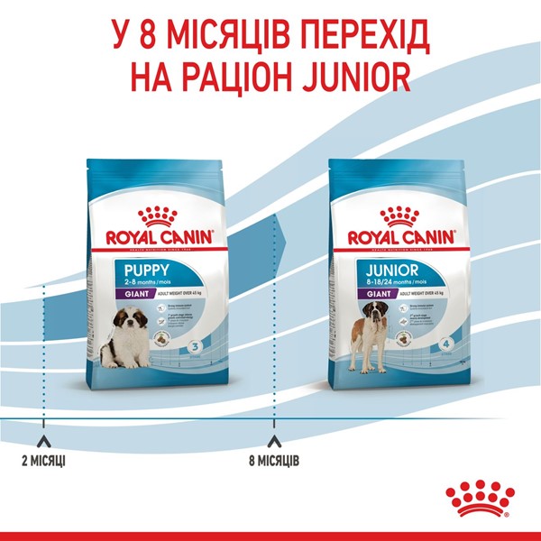 Giant Puppy (1kg)