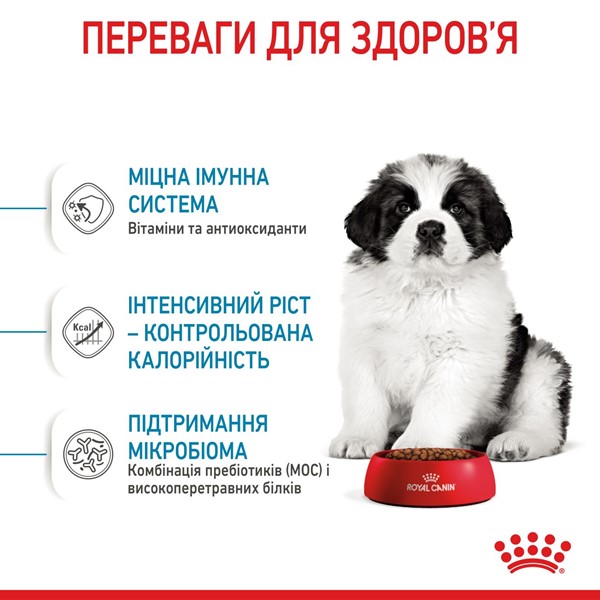 Giant Puppy (15kg)