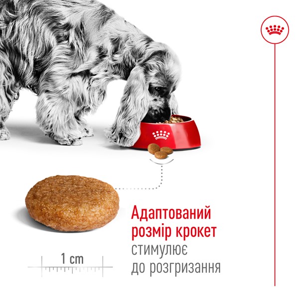 Medium Adult (4kg)