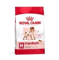 Medium Adult (4kg)