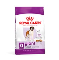 Giant Adult (4kg)