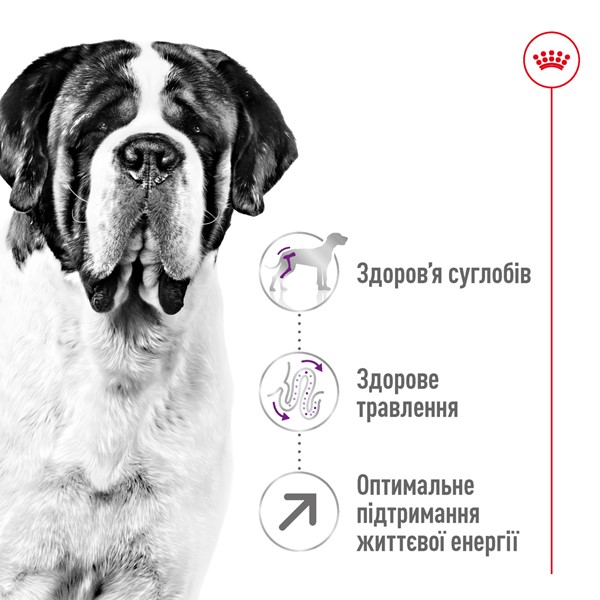 Giant Adult (15kg)