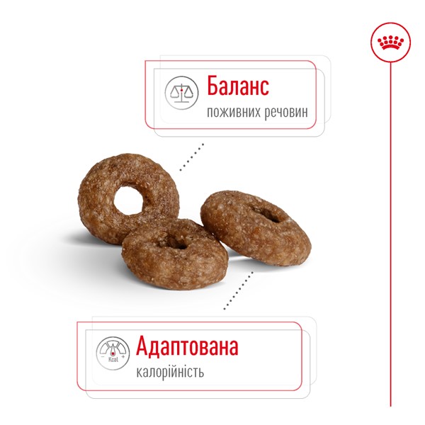 Mini ageing 12+ (800g)