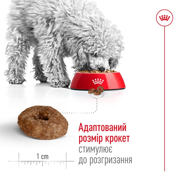 Mini ageing 12+ (800g)