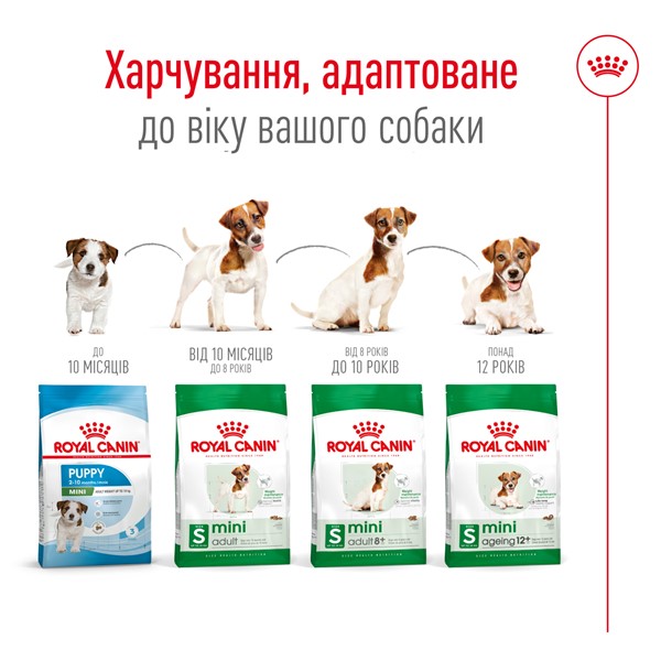 Mini ageing 12+ (800g)